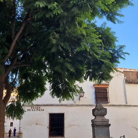 Terraza De La Axerquia Apartman
